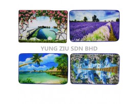 80*120CM 3D PICTURE DOOR MAT